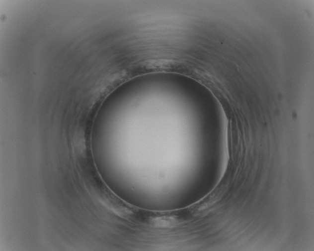 X0000074320508200609082010