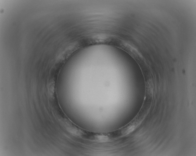 X0000074320509200609082010