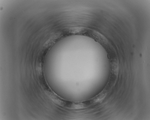 X0000074320510200609082010