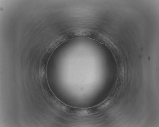 X0000074320513200609082010