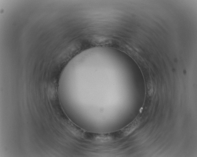 X0000074320515200609082010