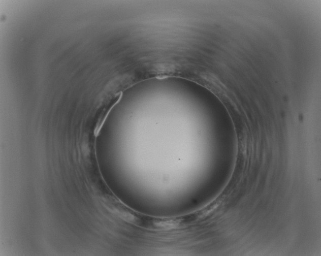 X0000074320516200609082010