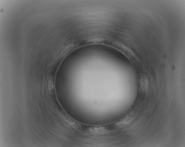 X0000074320517200609082010