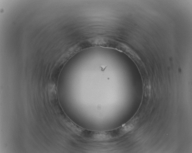 X0000074320521200609082010