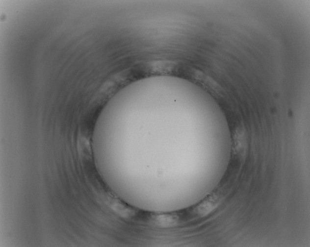 X0000074320522200609082010