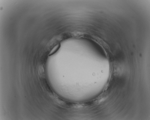 X0000074320523200609082010