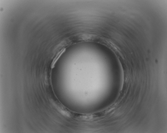 X0000074320524200609082010