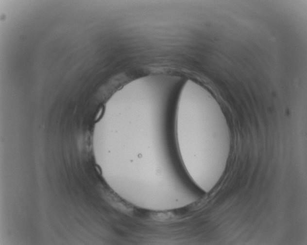 X0000074320525200609082010