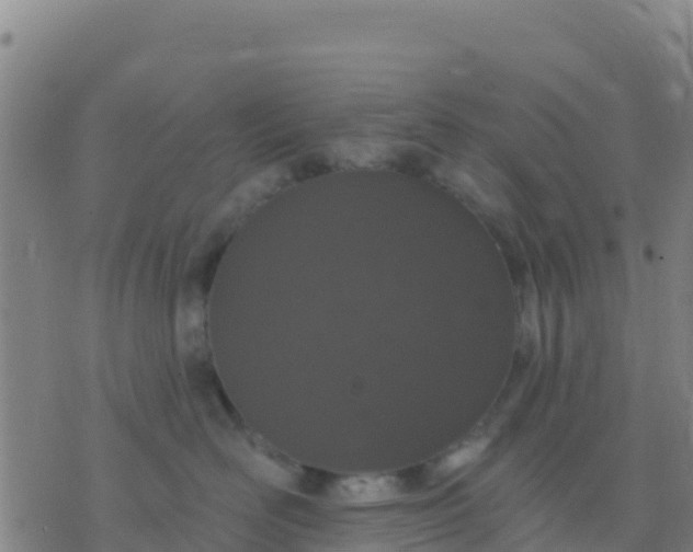 X0000074320526200609082010