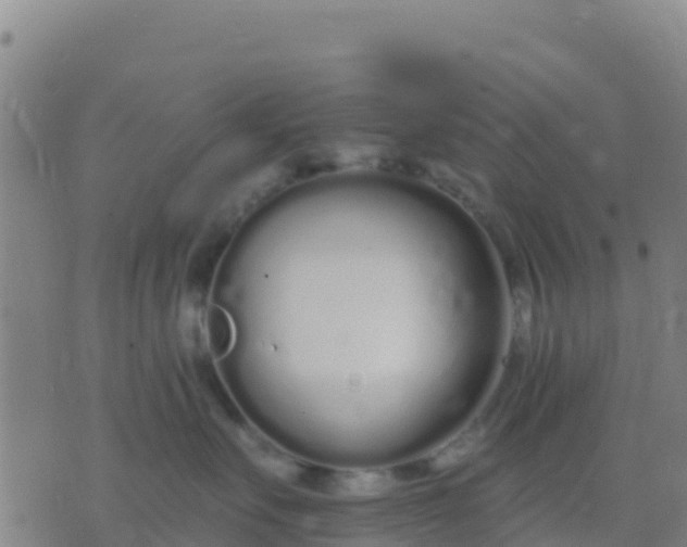 X0000074320527200609082010