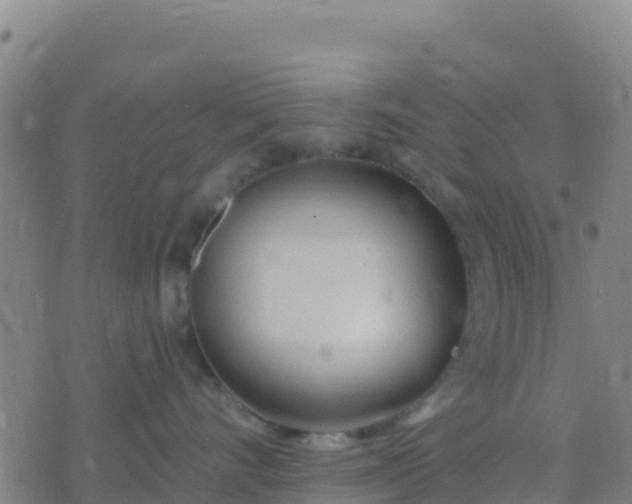 X0000074320528200609082010