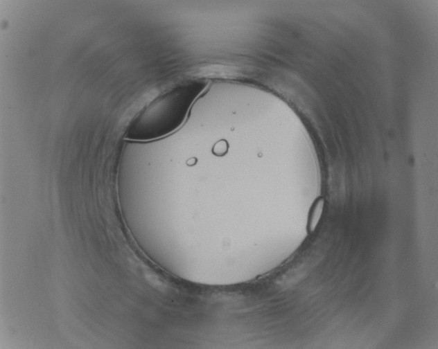 X0000074320529200609082009