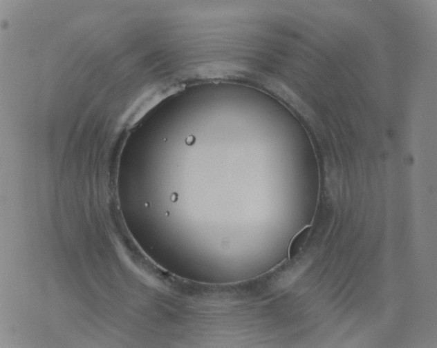 X0000074320530200609082009