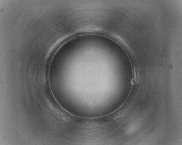 X0000074320531200609082009