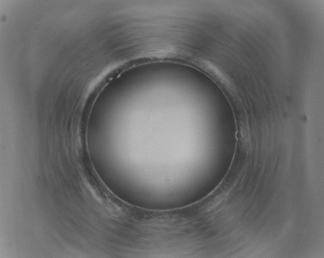 X0000074320532200609082009