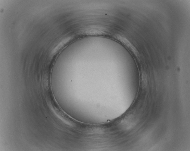 X0000074320533200609082009