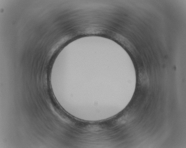 X0000074320534200609082009