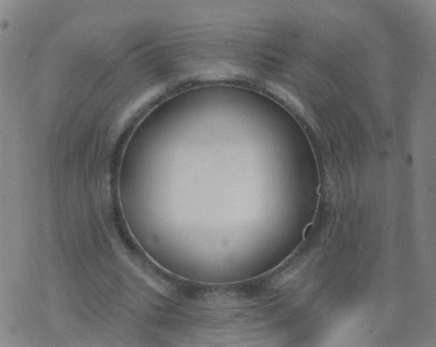 X0000074320535200609082009