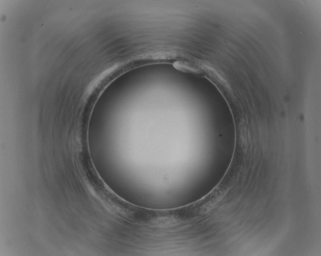 X0000074320536200609082009