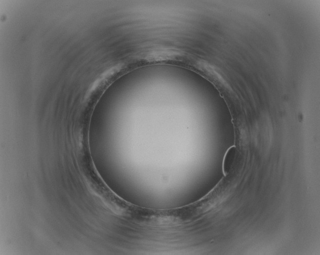 X0000074320539200609082009