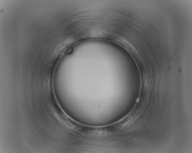 X0000074320542200609082009