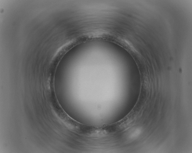 X0000074320543200609082009