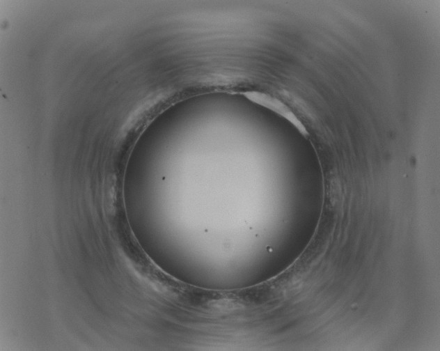 X0000074320544200609082009