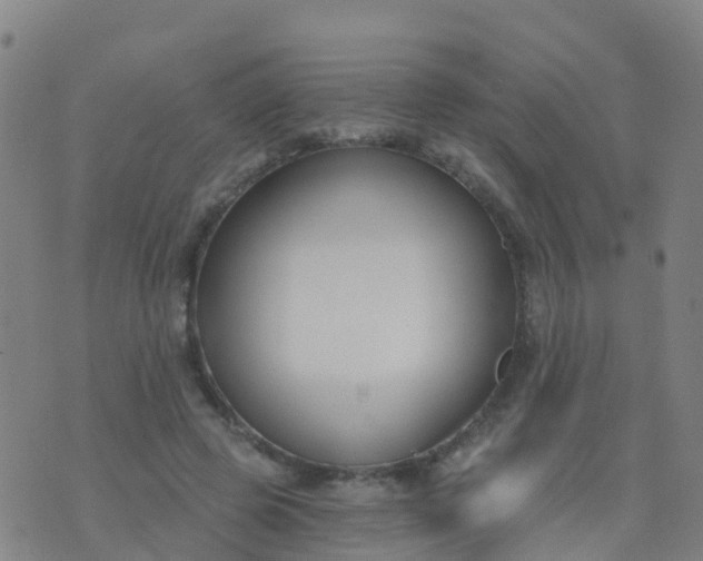 X0000074320545200609082009