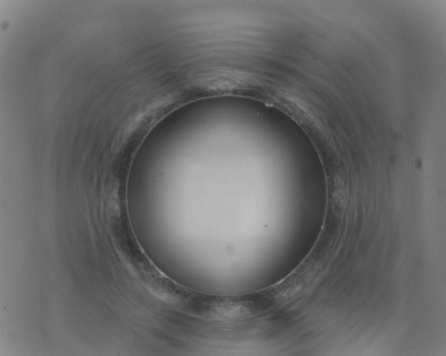 X0000074320547200609082009