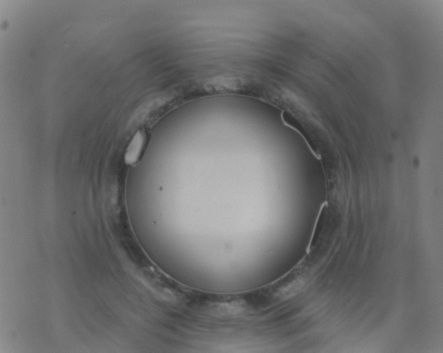 X0000074320548200609082009