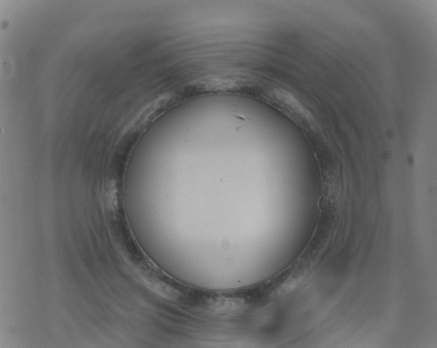 X0000074320549200609082009