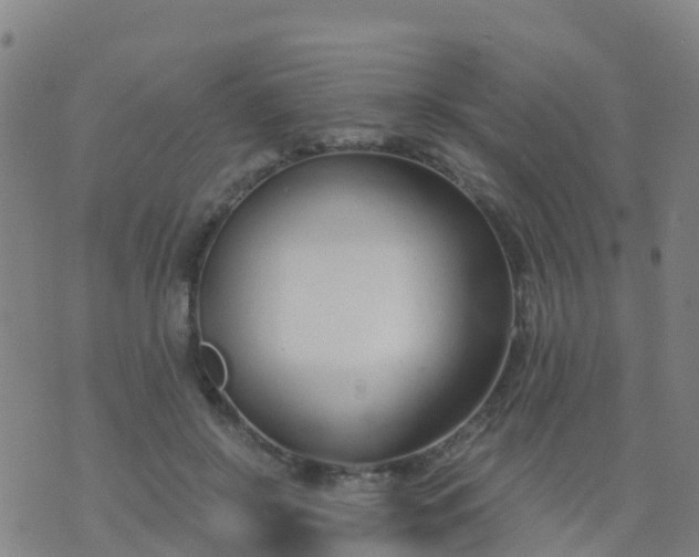 X0000074320550200609082010