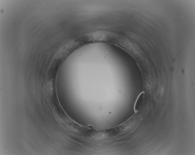 X0000074320551200609082010