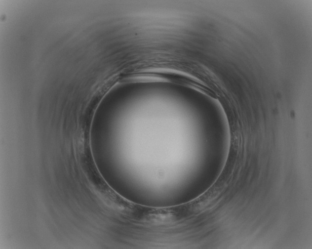 X0000074320552200609082010