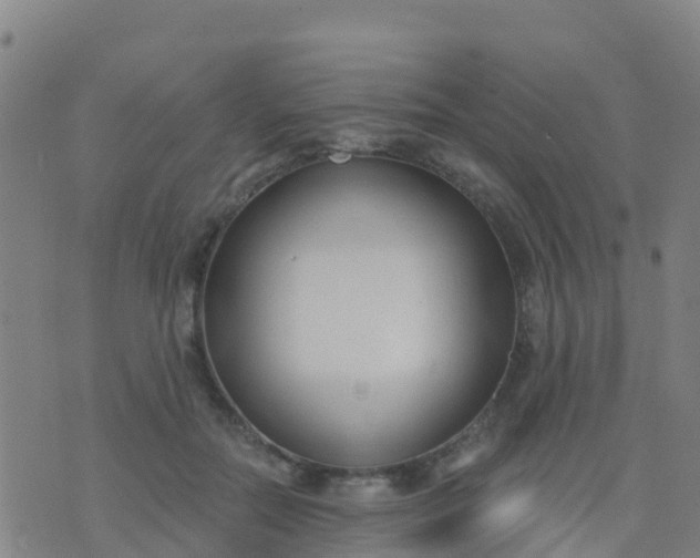 X0000074320554200609082010