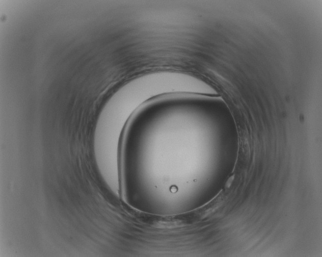 X0000074320556200609082010