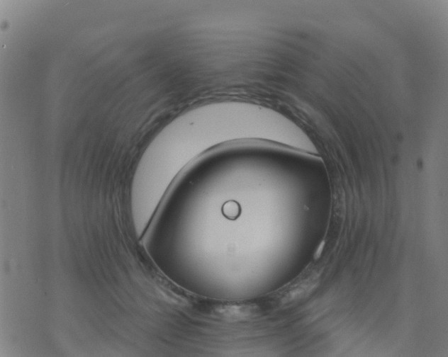 X0000074320558200609082010