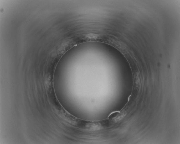 X0000074320559200609082010