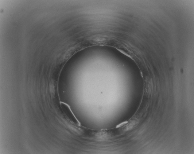 X0000074320562200609082010