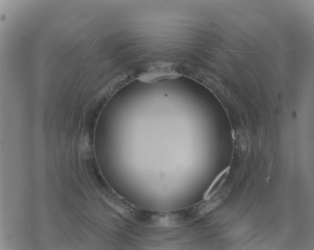 X0000074320564200609082010