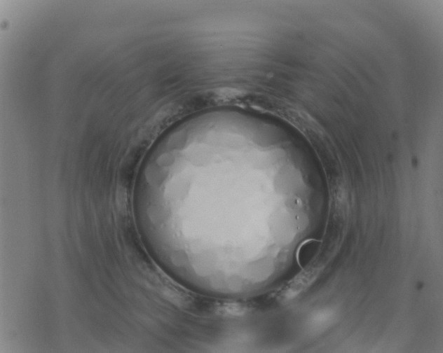 X0000074320565200609082010