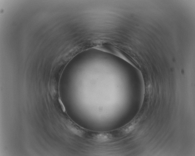 X0000074320566200609082010