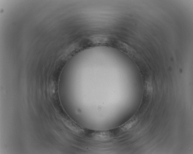 X0000074320567200609082010