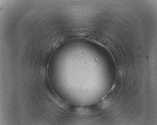 X0000074320568200609082010