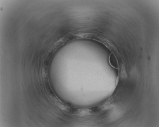 X0000074320569200609082010