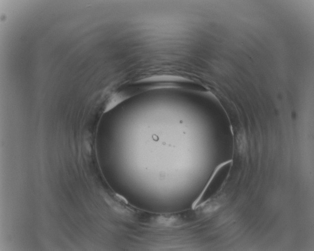 X0000074320570200609082010