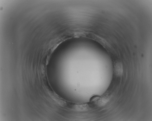 X0000074320571200609082010