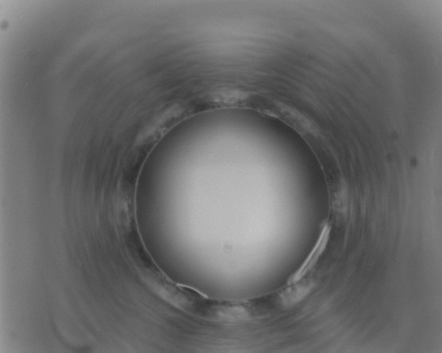 X0000074320572200609082010