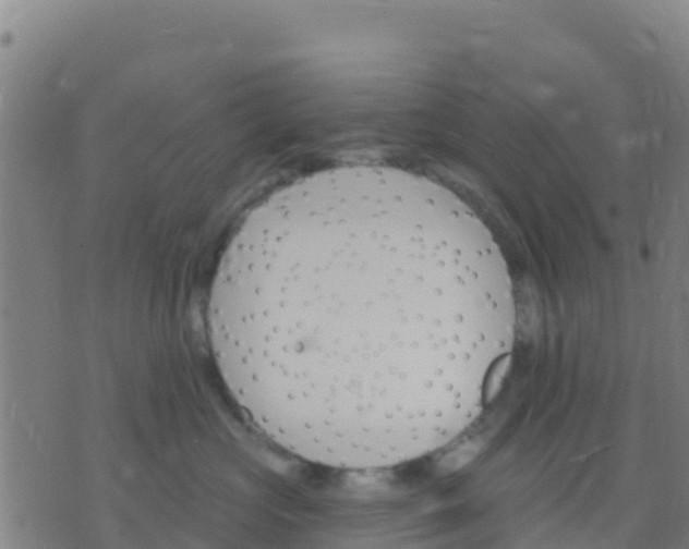 X0000074320573200609082010