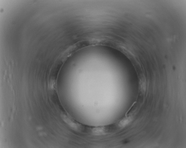 X0000074320574200609082010